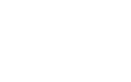 Team_Wass Logo