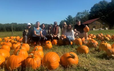 2017 HMG+ Team Outing!